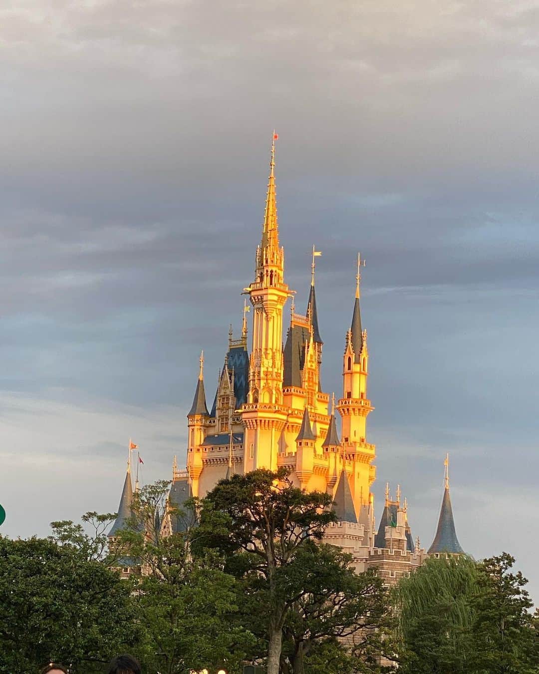 小濱庸子のインスタグラム：「マジックアワーな シンデレラ城🏰 夕陽に照らされてお城が黄金色に👏 こんな光景は初めてみた😭♡ 幸せな瞬間だった🏰🌹  #シンデレラ城 #ディズニー #ディズニーランド #disney #disneyland #マジックアワー #黄金色 #夕陽 ＃心があらわれる#東京ディズニーランド #幸せ #夢の国 #amazing #goldcastle #in #休日 #ディズニーリゾート#エモい」