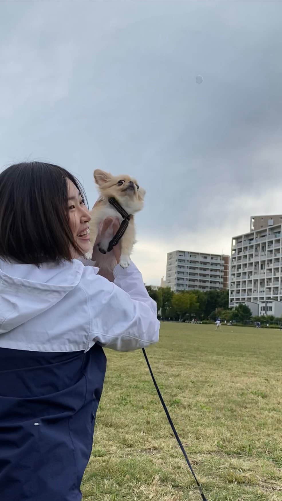 のインスタグラム：「ピノと全力鬼ごっこ🔥  どっちが勝ったでしょう？！笑  身体を動かすって やっぱり気持ちいいね！！  @piiinostagram   #犬との暮らし #いぬすたぐらむ #犬のいる暮らし #鬼ごっこ #お散歩 #公園遊び #全力 #ランニング #犬との暮らし  #dog #doglife #パートナー」