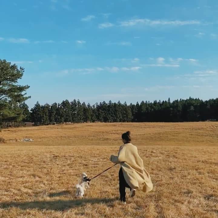 キム・ダヘのインスタグラム：「오늘 아침부터 밤까지 영상으로 요약,,, 🧚🏻‍♂️🧚🏻‍♂️」