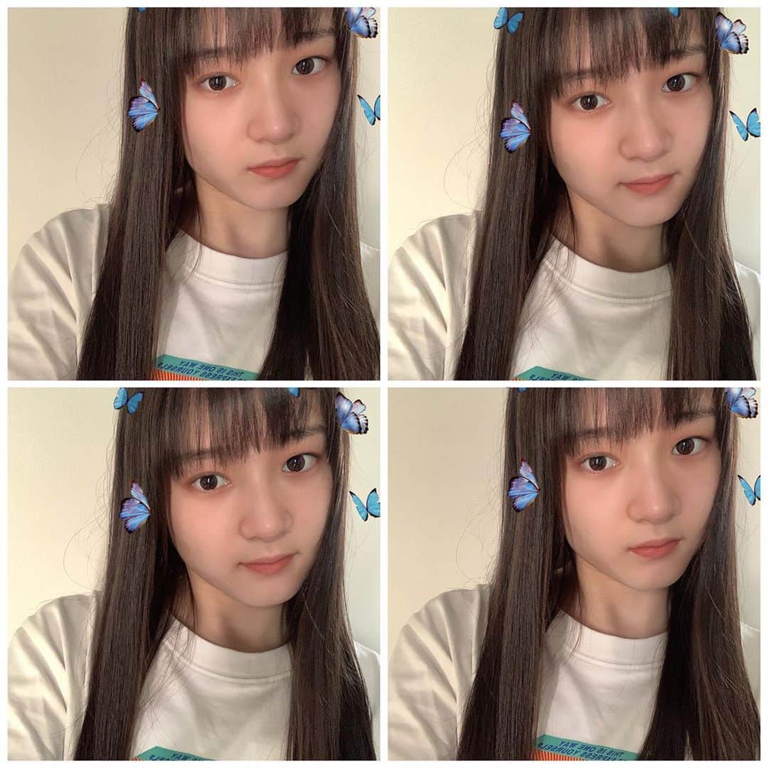 のインスタグラム：「🦋」