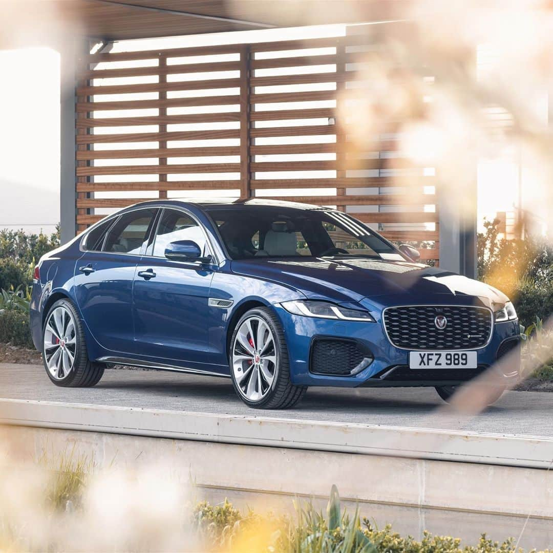 Jaguarさんのインスタグラム写真 - (JaguarInstagram)「A nod to the past in a vision for the future. Inspired by #British craftsmanship, the soft trim of the #NewXF Drive Selector wraps round the ‘palm grip’ and features a ‘cricket-ball’ stitch.   #Jaguar #XF #Premium #Luxury #Performance #Sport #Saloon #MHEV #Hybrid #AWD #ElectricCars #InteriorDesign #Technology #CarsofInstagram #CarsWithoutLimits #InstaCar」10月19日 21時42分 - jaguar