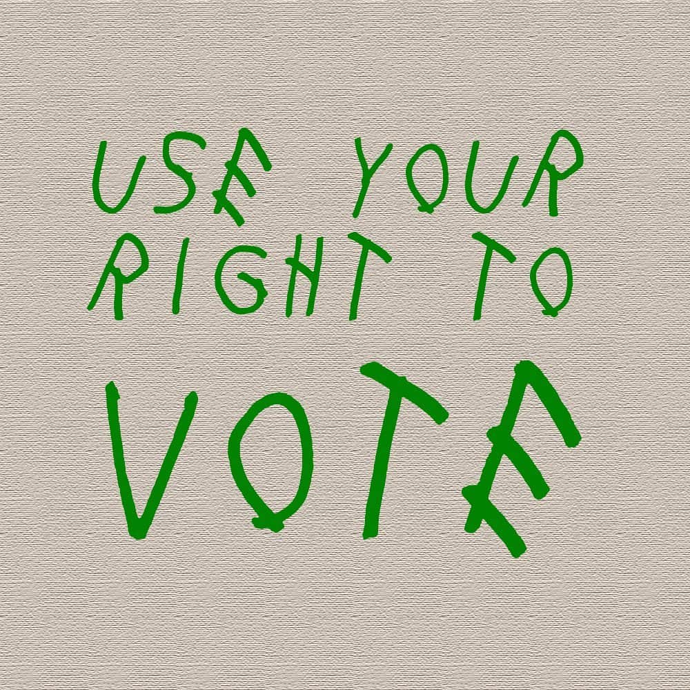 ファニー・リックマンのインスタグラム：「Since almost 100k of you are based in the United States I wanted to remind you of the importance of your vote. If you don’t feel like you have someone to vote FOR, I’m sure you’ll find something to vote AGAINST 💚 Every election is determined by the people who show up 🇺🇸」