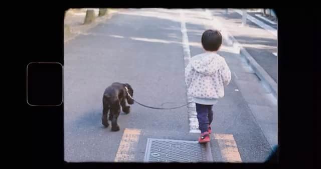 SAYのインスタグラム：「愛犬ファギへの好きが溢れて、般若さんMV作りました。  毎日毎日彼女の黒い毛に顔をうずめて、好きだよぉーーーーっ！と叫び、今撮ったばかりの写真を眺めて、あぁ…可愛い。。と悶絶している彼は、朝起きて一番に彼女をお散歩に連れて行き、ご飯を作り、お薬を飲ませてくれます。  そして毎朝欠かさず今日のわんこを見ながら、ファギが一番可愛いな！と満足そうに言っています。  『般若 / いつもの道』 Official Music Video   フルはYouTubeでどうぞ◎  Track produced by  SPACE DUST CLUB  Director: yuuukizm Cinematographer: Ryoma Yoshimura Design: SUGAR(IZM.pro)」