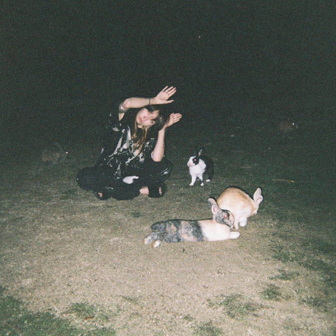 ikumiさんのインスタグラム写真 - (ikumiInstagram)「🐰🐰🐰🐰🐰🐰🐰」10月19日 22時02分 - i._k.u.m_.i