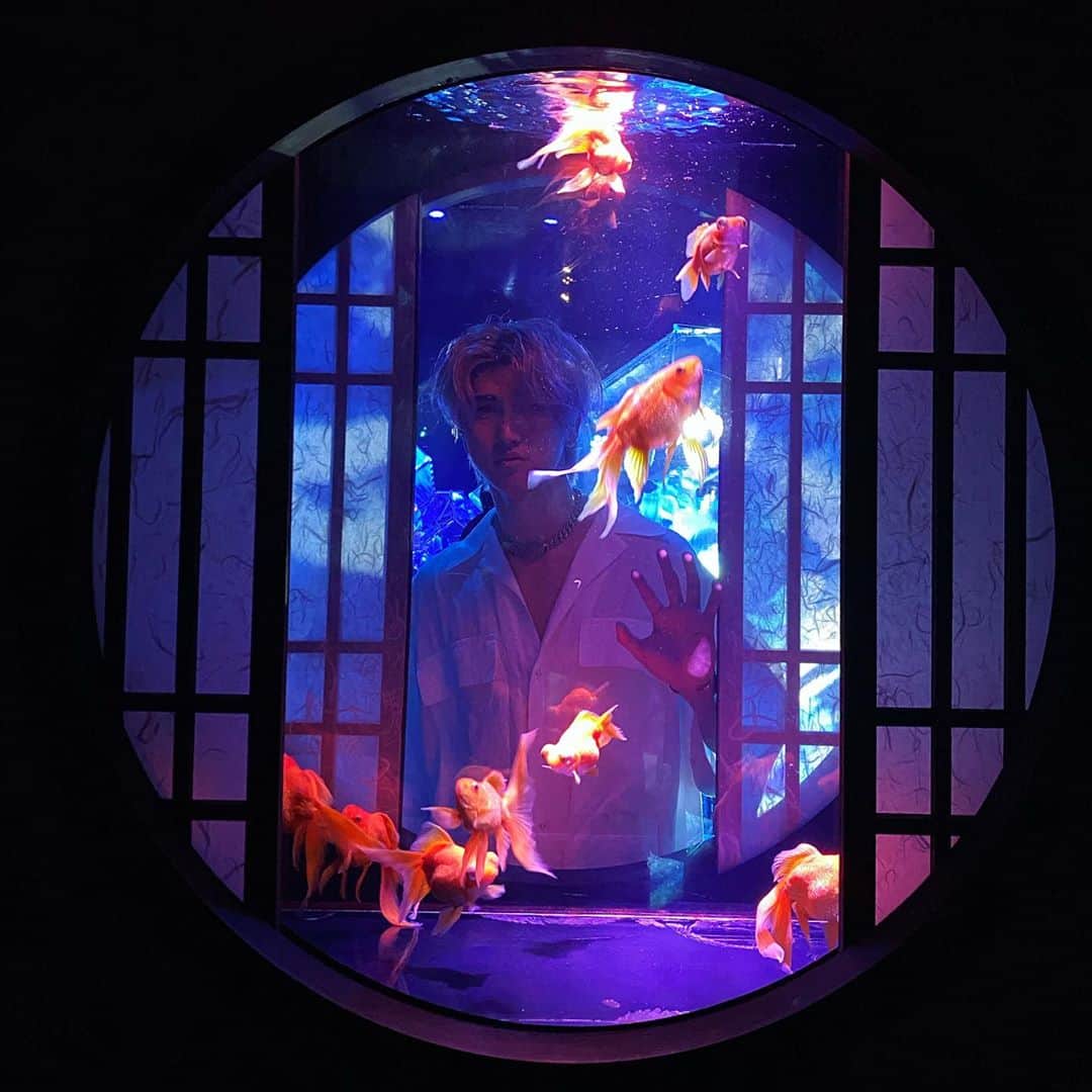 原田デイビッドさんのインスタグラム写真 - (原田デイビッドInstagram)「Trapped ⛓  📸: @tsuyoshikiritoshi   #ginza #goldfish #art #museum #japan #tokyo #kyoto #underwater #photo #photography #model #trapped  #david #harada #fashion #style #東京 #銀座 #金魚 #アート #写真 #日本  #ディビッド #原田」10月19日 22時05分 - davidharada_01