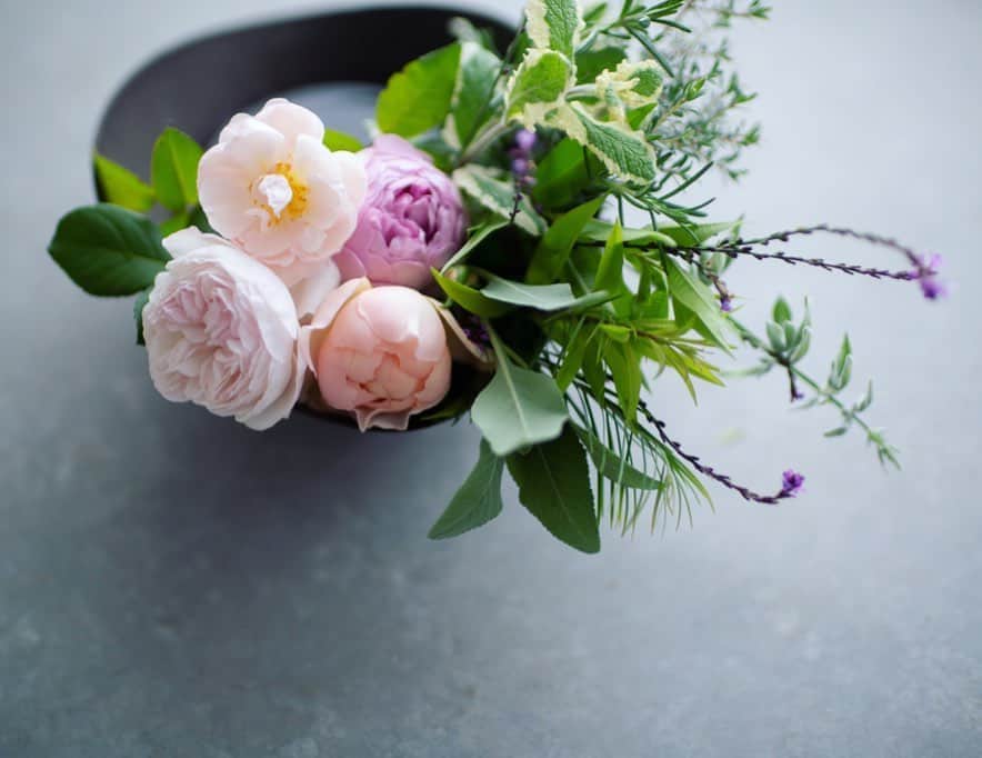 Naomiのインスタグラム：「庭から薔薇とハーブ🌿」