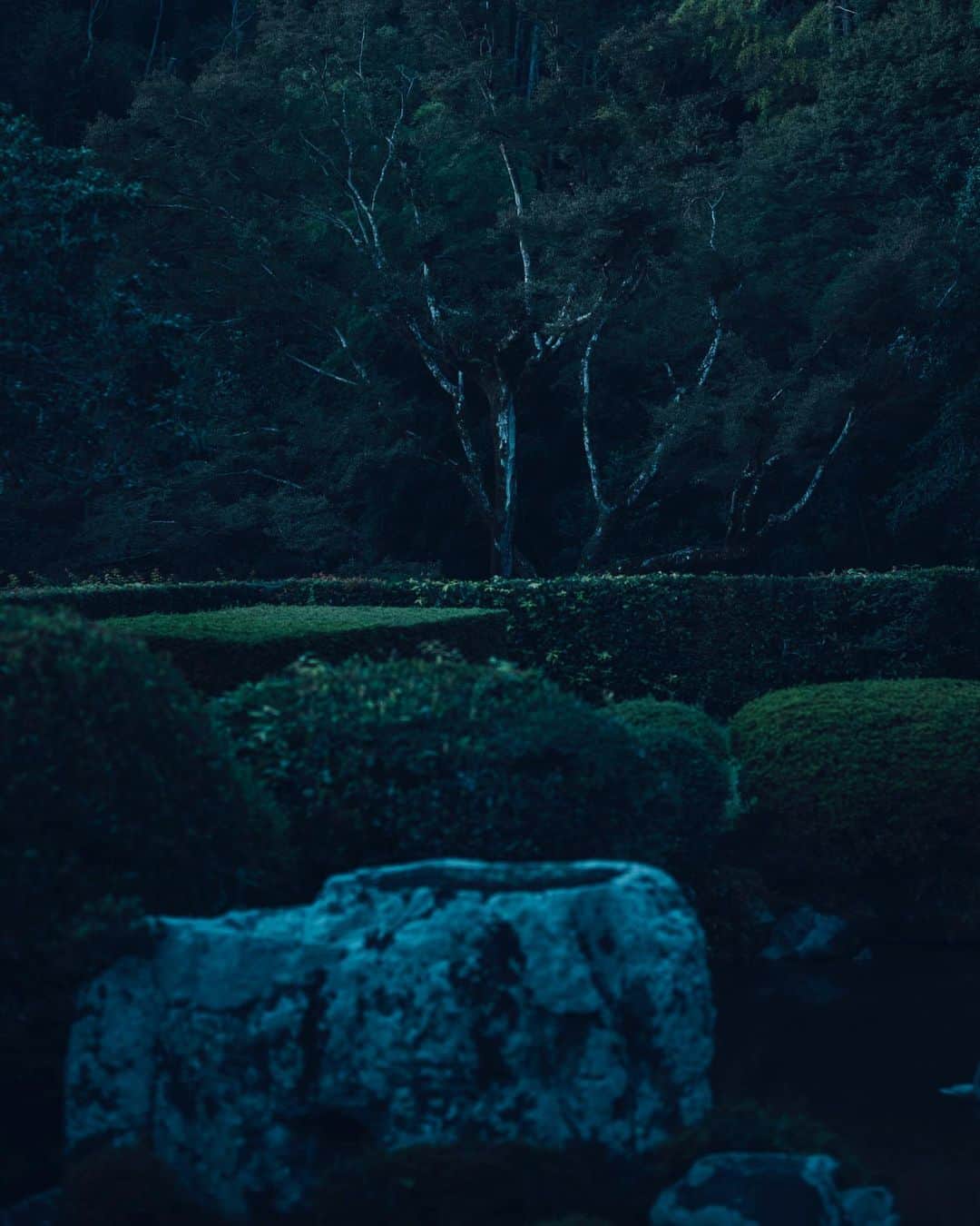 清水寺さんのインスタグラム写真 - (清水寺Instagram)「Jojuin garden  成就院」10月19日 22時29分 - feel_kiyomizudera