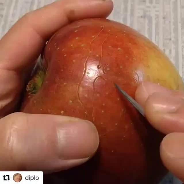gakuのインスタグラム：「My work　Repost:@diplo  世界で有名なDJ．プロデューサーでもある Diploのスタッフチームから依頼があり作りました  たぶんこれは凄いこと  #diplo #majorlazer」