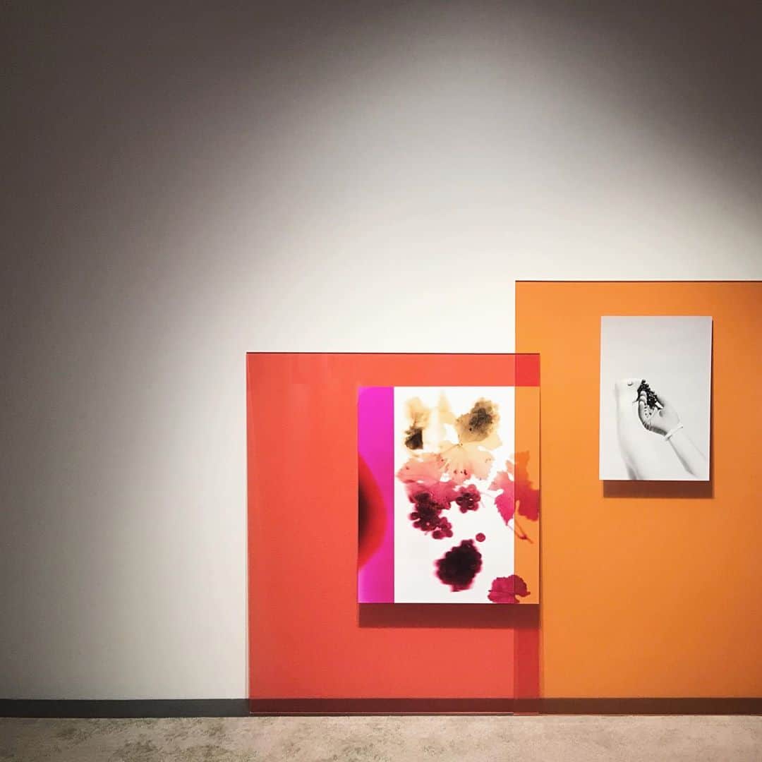 のインスタグラム：「#kyotographie #京都国際写真祭 ﻿ ❤️#elsaleydier photo exhition at #hosoogallery 🧡﻿ ﻿ #京都グラフィー 行きたいなぁ〜と﻿ なんとなくずっと思ってたら、その日は突然訪れた！﻿ しかも可愛いファミリーと一緒で楽しい京都旅に😘﻿👨‍👩‍👧 ﻿ ﻿この週末で会期終了したけど、また弾丸で こうして前日にチケット取ったりしながら フットワーク軽くふらっと京都へ行きたい。 京都やっぱりいいなぁ〜と行くたびに思う。」