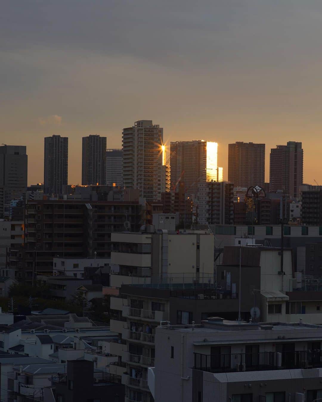 ima_ju / Jun Iのインスタグラム：「: : Light & Moisture  : : New Lens Filter【 OPF 650-L 】wiz Contax 85mm F1.4 : Thanks @tokyo_grapher #OPF650L  : : 新発売のこのフィルター、例えると、真空管アンプを通して聴いているような、音がまろやかになる感じ👍 心地よい湿度感と共に、電球色・暖色風景もより自然に。やさしく。まずは都市風景から。 : ::」