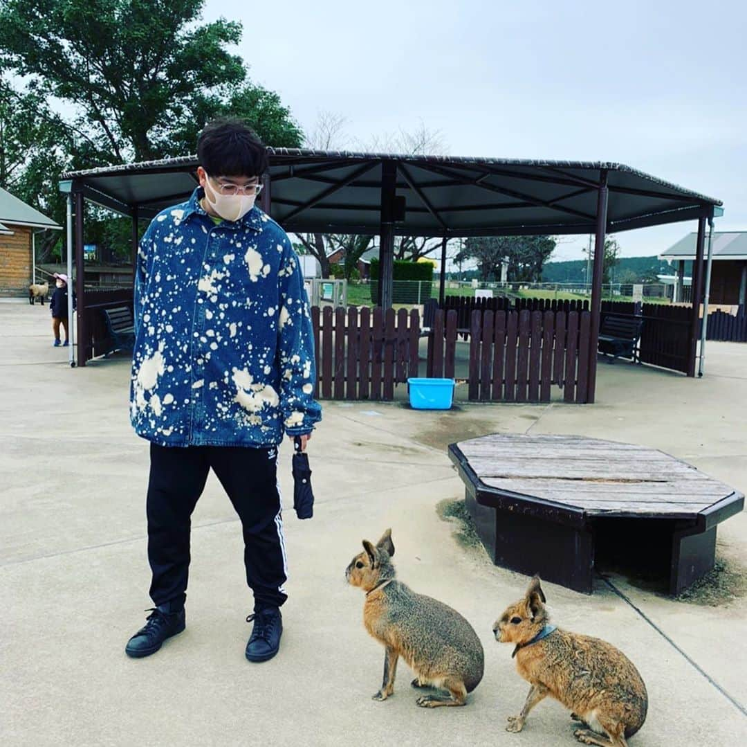 渋谷ジャパンさんのインスタグラム写真 - (渋谷ジャパンInstagram)「動物に触れ合ったり釣りしたり」10月19日 23時08分 - shibuya_japan