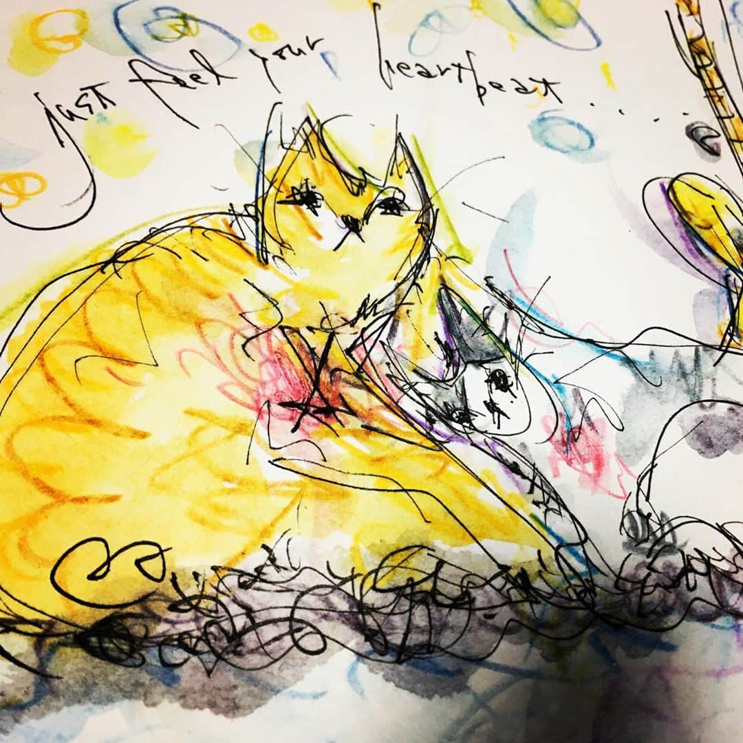 ナガイケジョーさんのインスタグラム写真 - (ナガイケジョーInstagram)「あたためあいたい、季節。 #cat #猫 #illustration #goodnight #おやすみなさい」10月19日 23時17分 - joenagaike