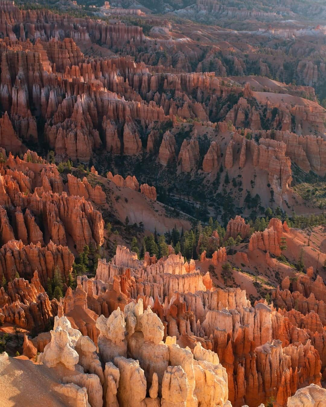 アメリカ内務省さんのインスタグラム写真 - (アメリカ内務省Instagram)「There's nothing quite like exploring the unique landscape at Bryce Canyon National Park in #Utah. Hoodoos are weathered rock formations carved by the forces of nature into fascinating shapes. #BryceCanyon preserves the world’s largest coterie of hoodoos in a remarkable natural amphitheater. As sunlight and shadows move across the stunning landscape, the park takes on different moods, offering lots of chances for spectacular shots. Don’t forget to pack your camera and sense of wonder. Photo @brycecanyonnps_gov by Peter Densmore, #NationalPark Service. #usinterior」10月20日 9時10分 - usinterior