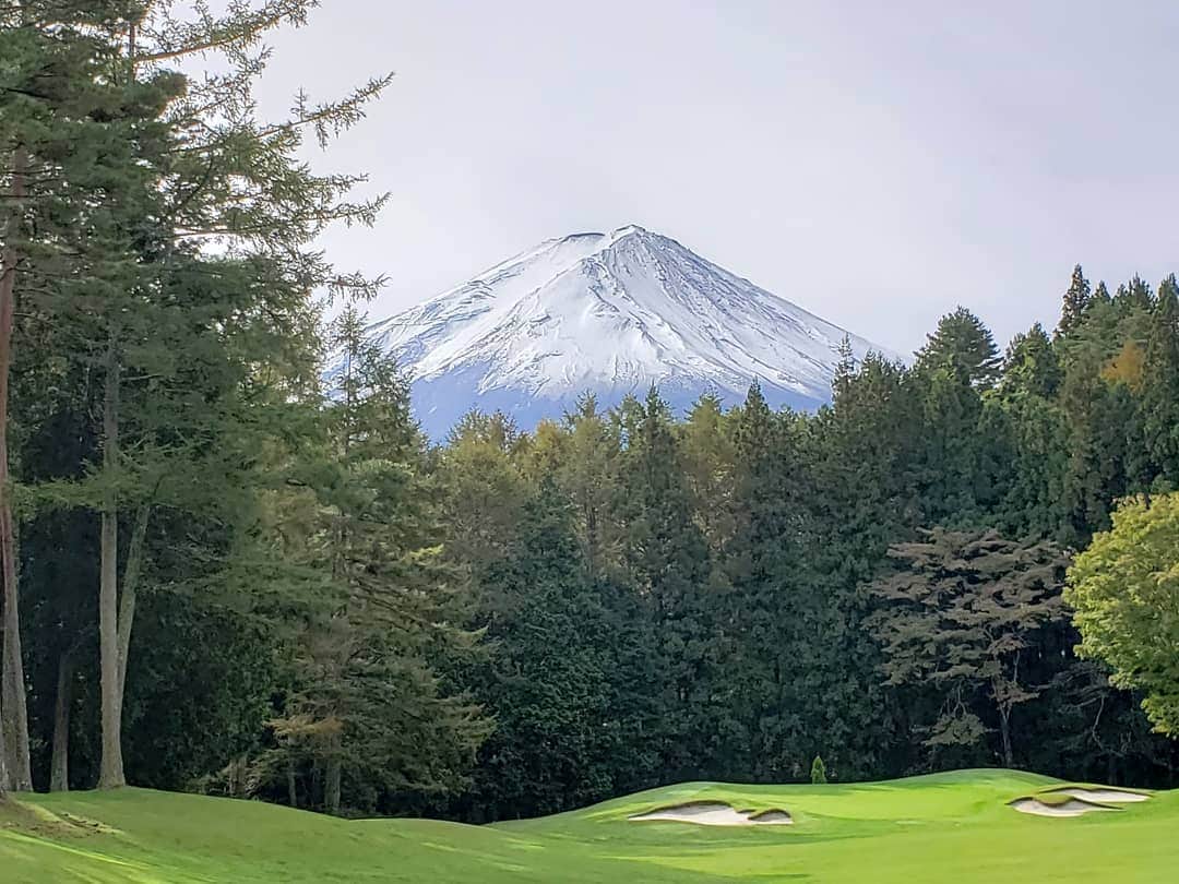 上杉隆のインスタグラム：「富士にはベント芝がよく似合う」