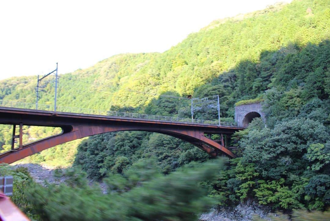 yukaさんのインスタグラム写真 - (yukaInstagram)「京都嵐山トロッコ列車 2020.10.12 ・ ・ ・ オープン特別車両は、出発時間早めに行かないと埋まっちゃうね。 でもね、一般車両でも充分楽しめました♪ 車内アナウンスの圧が凄い。笑 (サービス精神満載で丁寧にアナウンスしてくれる) ※最後汽笛の音に注意☺︎ ・ ・ #トロッコ列車  #トロッコ嵐山  #kyoto #kyotojapan  #kyototrip  #igersjp #instagramjapan  #京都 #京都旅行 #京都観光 #流し撮りにたまたまなった」10月20日 9時59分 - yuka_ff