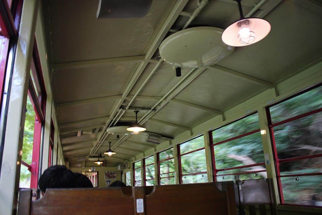 yukaさんのインスタグラム写真 - (yukaInstagram)「京都嵐山トロッコ列車 2020.10.12 ・ ・ ・ オープン特別車両は、出発時間早めに行かないと埋まっちゃうね。 でもね、一般車両でも充分楽しめました♪ 車内アナウンスの圧が凄い。笑 (サービス精神満載で丁寧にアナウンスしてくれる) ※最後汽笛の音に注意☺︎ ・ ・ #トロッコ列車  #トロッコ嵐山  #kyoto #kyotojapan  #kyototrip  #igersjp #instagramjapan  #京都 #京都旅行 #京都観光 #流し撮りにたまたまなった」10月20日 9時59分 - yuka_ff