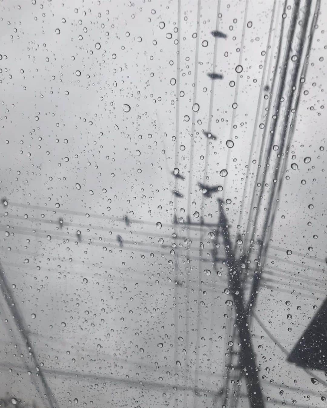 にゃんぞぬデシさんのインスタグラム写真 - (にゃんぞぬデシInstagram)「雨でも会議か。 ・ ・ ・ #film #Japan  #photooftheday #photography  #japan #rain #rainyday」10月20日 1時14分 - nyanzonudeshi