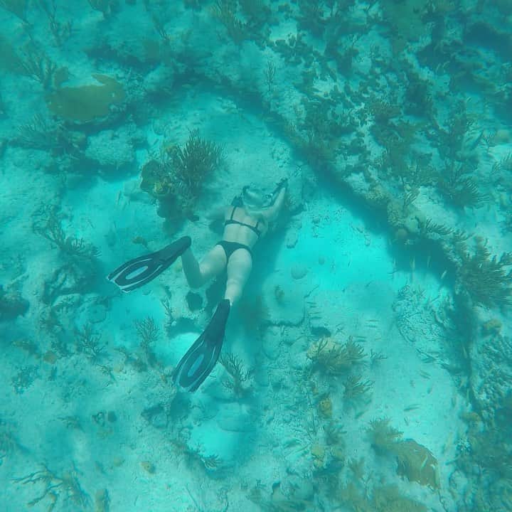 リンゼイ・ボンのインスタグラム：「When you catch your own birthday dinner 🧜🏼‍♀️ ... shout out to my epic videographer and partner in crime @kar_inthegarage 🎥 #spearfisherman #watergirl #lobster」