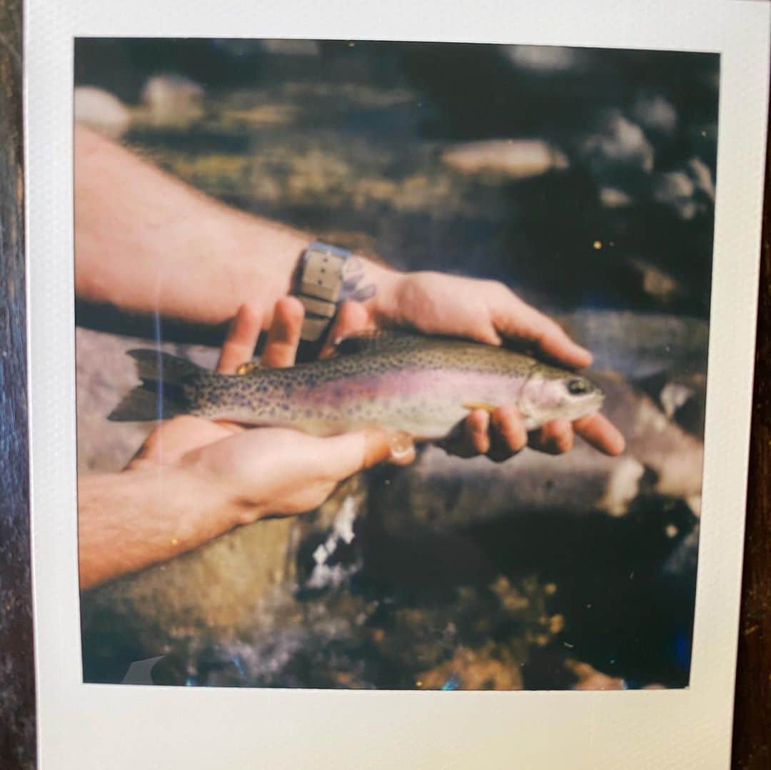 ジョシュ・スチュワートさんのインスタグラム写真 - (ジョシュ・スチュワートInstagram)「#onelife  #fishitwell  #unfailinggoods   Polaroids from my girl. @alexakdavalos」10月20日 2時38分 - j0shstewart