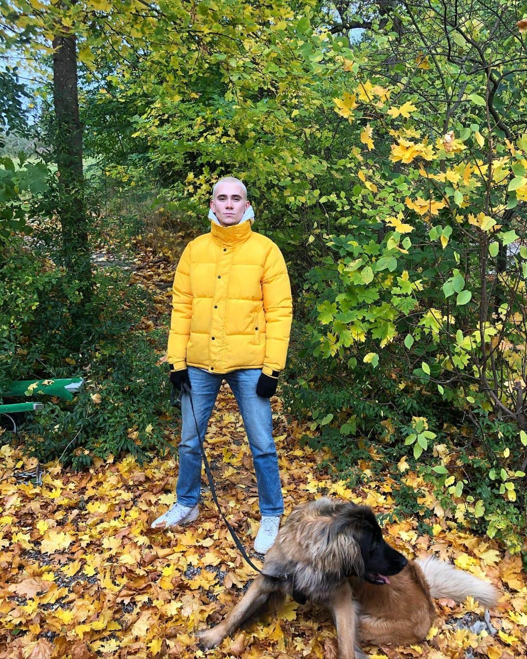 フェリックス・サンドマンのインスタグラム：「Man with doge」