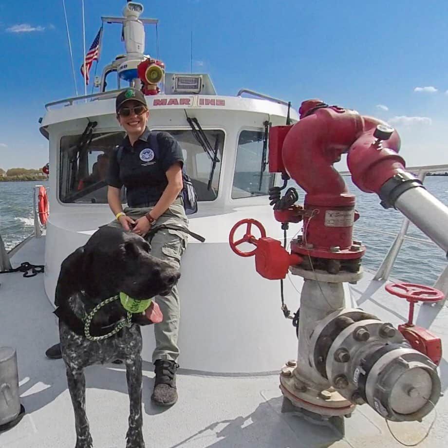 アメリカ運輸保安局さんのインスタグラム写真 - (アメリカ運輸保安局Instagram)「Our TSA Explosive Detection Canine Teams make a great pair...like Aki and his handler Tatiana! Aki and Tatiana are one of over 1,000 teams working throughout the country. This mighty duo works at @newark_liberty International Airport (EWR), keeping travelers safe.   And it's not just at airports! TSA K9s work to secure cargo, trains, maritime transportation, pipelines, and more. Here you can see Aki and Tatiana helping out the @uscg. And don't worry...Aki can swim!   There is just one thing you should remember next time you go to the airport and see one of our K9s hard at work - Please do not pet! They are working to keep you safe. Our K9 teams thank you! ⠀ #TSAk9 #K9 #workingdogsofIG #dogsofig #dogsofinstagram #airportsecurity #dog #airportdog #doglife #doglovers #dogstagram #dogoftheday #dogsofinsta #doglover #doggo #doglove #dogslife #GSP #germanshorthairedpointer」10月20日 4時23分 - tsa