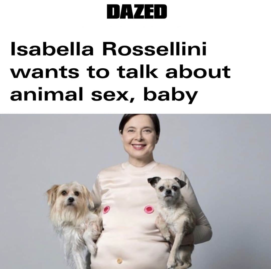 Dazed Magazineさんのインスタグラム写真 - (Dazed MagazineInstagram)「“Of all the places I thought my career would take me, never once did I imagine I’d be sitting down to a conversation in which Isabella Rossellini was educating me, in detail, about the inner workings of a duck’s vagina.”   Tap the link in bio to read more of @emmaedavidson’s chat with the iconic movie star about her berserk new show taking an educational – and extremely funny – deep dive into the sex lives of creatures great and small. 📲  📷 Isabella Rossellini, Sex and Consequences (2020)」10月20日 5時01分 - dazed
