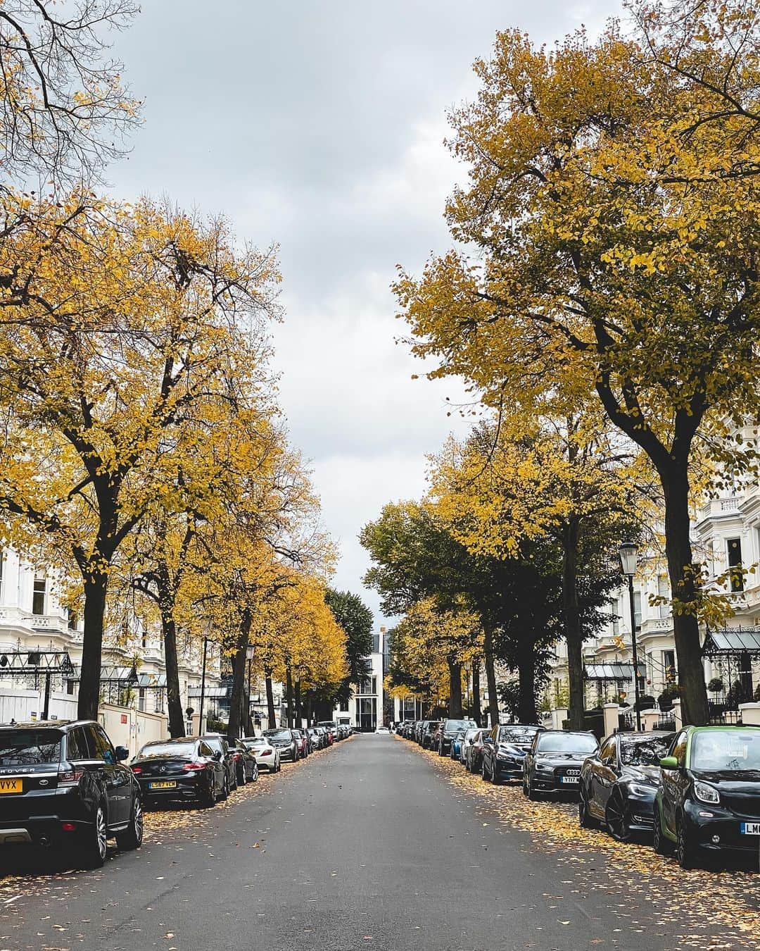 @LONDON | TAG #THISISLONDONさんのインスタグラム写真 - (@LONDON | TAG #THISISLONDONInstagram)「🍂🍁 @MrLondon in #HollandPark for more glorious autumnal scenes! 🍁🍂 Can’t get enough of London right now! Some streets are green 🌳, others are yellow 💛, some are red 🍁 and other streets are just a technicolour! 🤷🏻‍♂️ Definitely the time to be out and about and enjoying the beauty of this city around us! 47% of London is “green space” so enjoy the parks guys! 🙏🏼❤️   ___________________________________________  #thisislondon #lovelondon #london #londra #londonlife #londres #uk #visitlondon #british #🇬🇧 #londonparks #londonwalks #nottinghill #kensington」10月20日 5時10分 - london