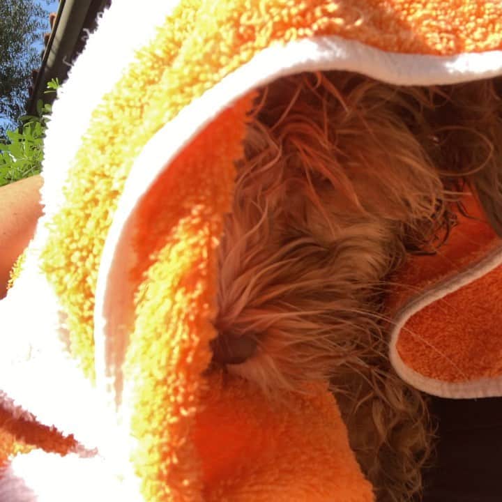 ジェニファー・グレイのインスタグラム：「swimming lessons are stressful at first. #beginnerswimmer」