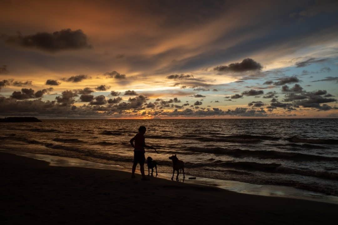 National Geographic Travelさんのインスタグラム写真 - (National Geographic TravelInstagram)「Photo by @juancristobalcobo / A quiet sunset moment on the beach in Cartagena, Colombia. After a long period of strict lockdowns, the city is slowly returning to a certain degree of normalcy. Some restrictions have been lifted and limited national and international flights are available. #cartagena #colombia #juancristobalcobo」10月20日 7時35分 - natgeotravel