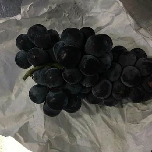 のインスタグラム：「morning grapes 🍇😴」