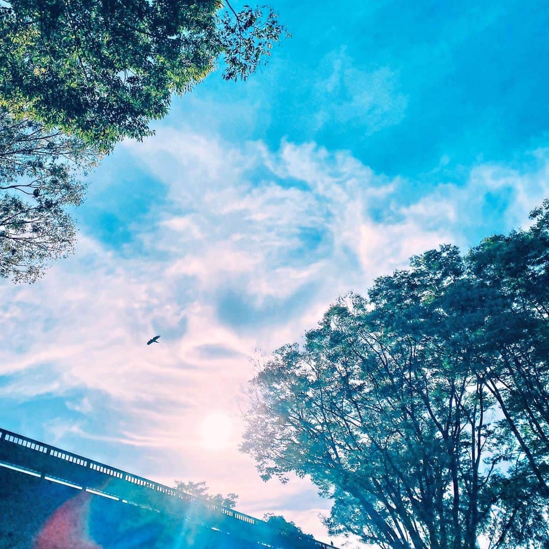 満島真之介さんのインスタグラム写真 - (満島真之介Instagram)「大丈夫。 今日も、空が見守ってくれている。  愛に溢れた1日になるよ。 いってらっしゃい！」10月20日 7時51分 - mitsushimax