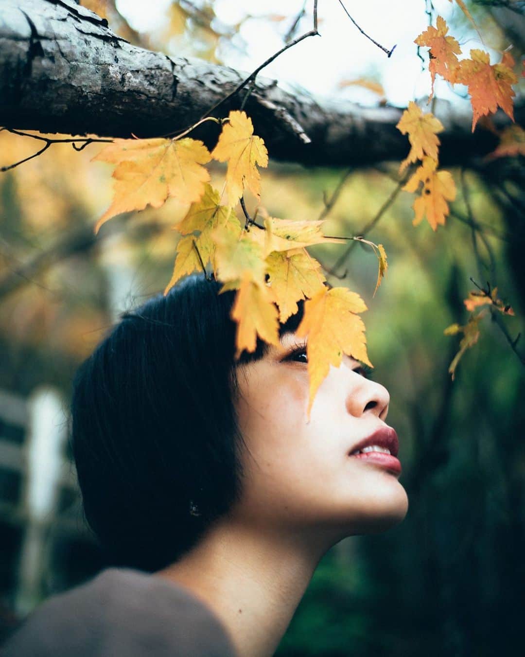 haru wagnusのインスタグラム：「🍁fall in love  ㅤㅤㅤㅤㅤㅤㅤㅤㅤㅤㅤㅤㅤ ㅤㅤㅤㅤㅤㅤㅤㅤㅤㅤㅤㅤㅤ gm ㅤㅤㅤㅤㅤㅤㅤㅤㅤㅤㅤㅤㅤ #mapleleaf  #fallcolors」