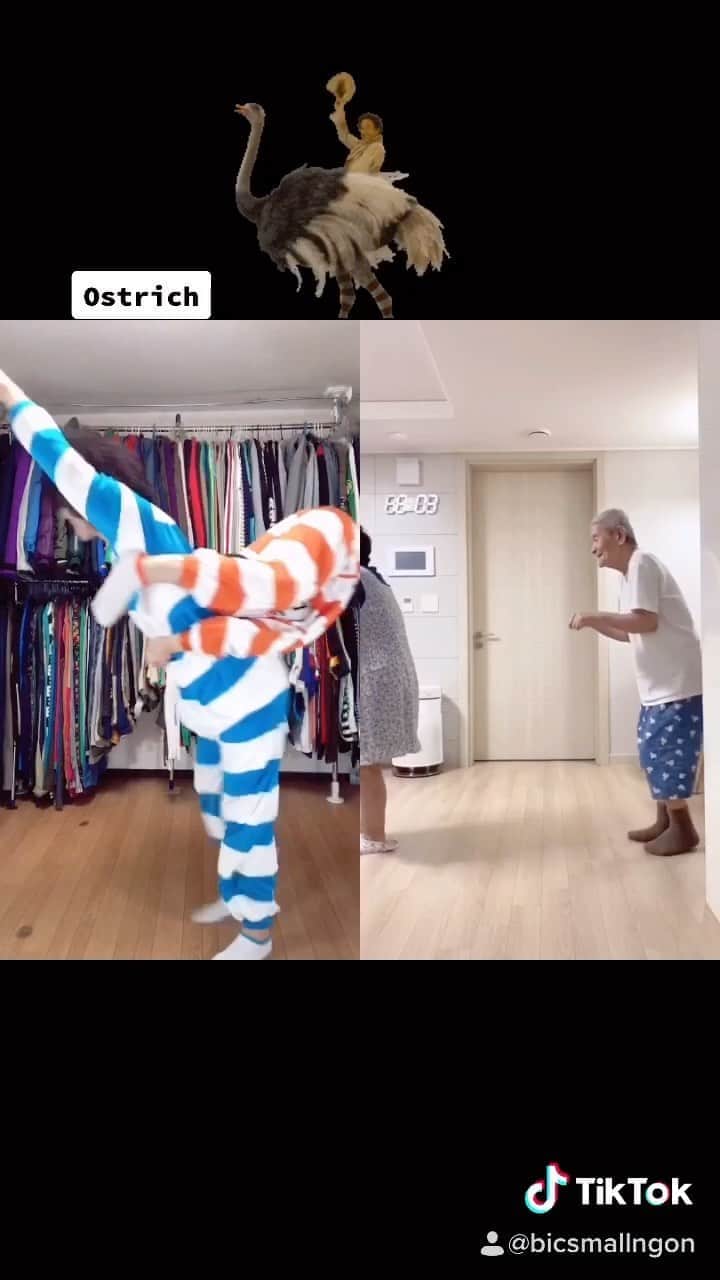 ゴンのインスタグラム：「このおじいちゃんおばあちゃんがあまりに可愛いのduetさせていただきました！😆」