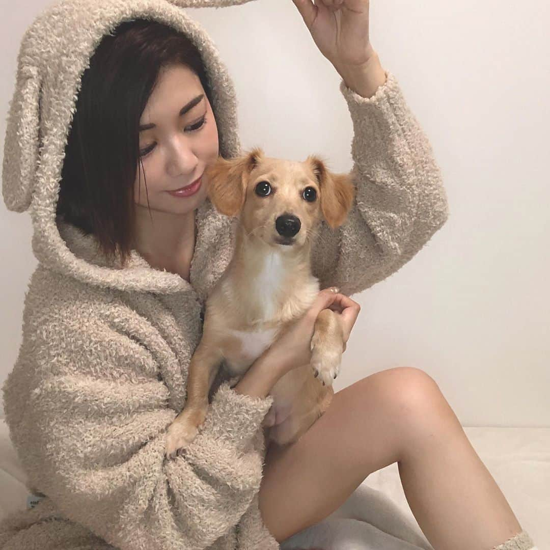 野田あず沙のインスタグラム：「少し早めのHalloween🐕🎃﻿ ﻿ ﻿ ﻿ 今年はお家で大好きなレイレイになりました🐕﻿ ﻿ レイレイいつもご機嫌で可愛くいてくれてありがとう♡﻿ 支えられてます😊﻿ ﻿ ﻿ フォローワーの皆様にも﻿ いつも感謝です✨﻿ ﻿ ﻿ ﻿ ﻿ あずあず（31）﻿ レイレイ（10カ月）﻿ ﻿ となります。どうぞご査収下さい笑﻿ ﻿ ﻿ @gelatopique_official ﻿ ﻿ ﻿ ﻿ ﻿ #halloween #gelatopique #roomwear #dog #ハロウィン #ジェラートピケ #ピケハロウィン #犬派 #チワックス #チワックス倶楽部 #お家ハロウィン」