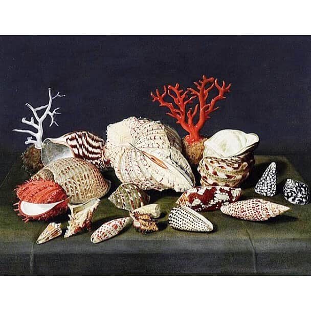 クレメンツリベイロさんのインスタグラム写真 - (クレメンツリベイロInstagram)「#jacqueslinard #1630 (Still Life With Shells and Coral) #oilonwoodpanel 🌊🌊🌊🌊🌊」10月20日 18時07分 - clementsribeiro