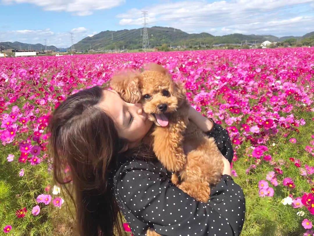 小椋寛子のインスタグラム