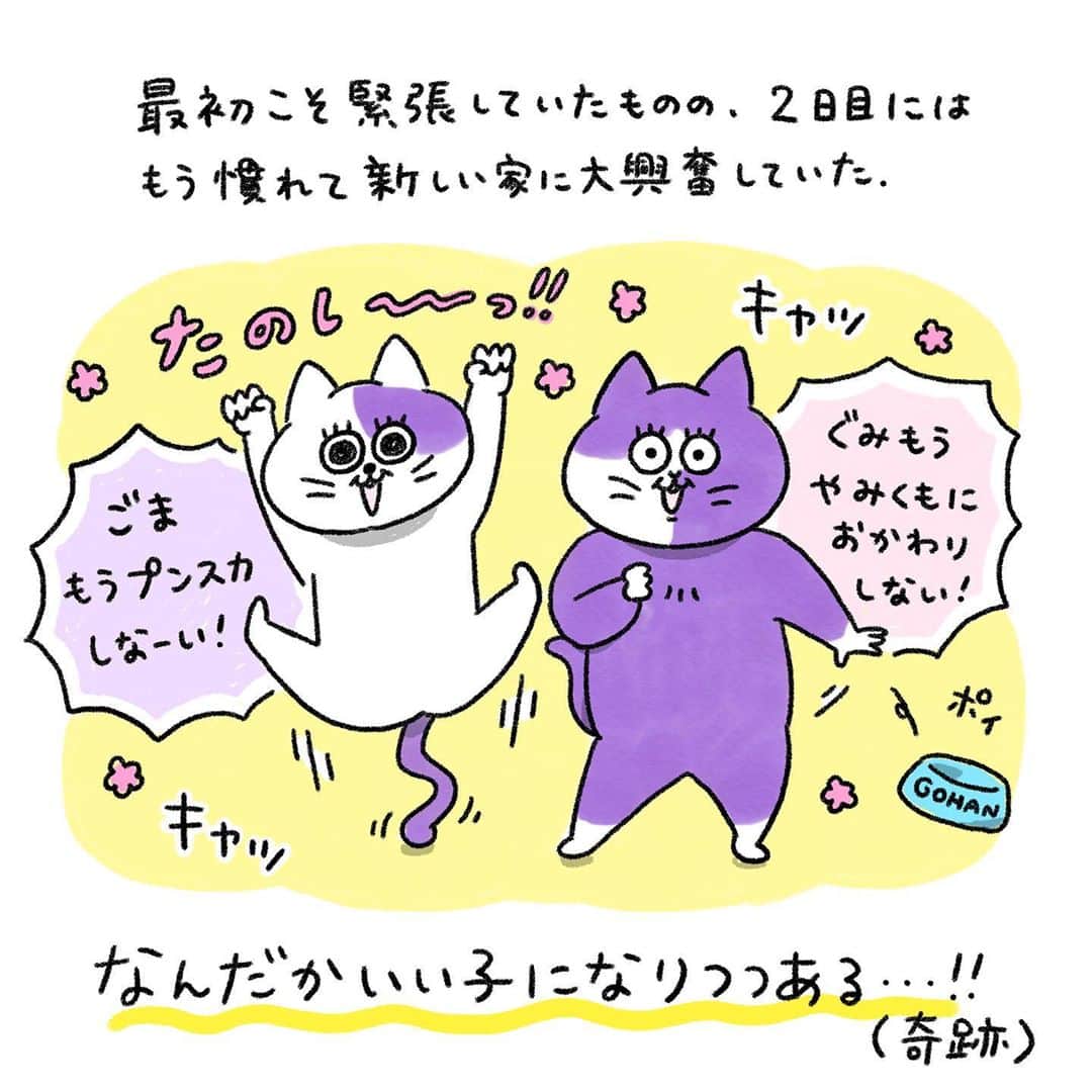 澤村 花菜さんのインスタグラム写真 - (澤村 花菜Instagram)「9月に引っ越しをしました。 前の家で食っちゃ寝生活をしていたぐみは、新居に来て追いかけっこの楽しさを思い出したようです。走りまくってちょっとスリムになりました😂  #ぐみごまのまんが#ねこ#猫の絵#イラスト#コミック#illustration#drawing#painting#catillustration」10月20日 18時56分 - hamchim