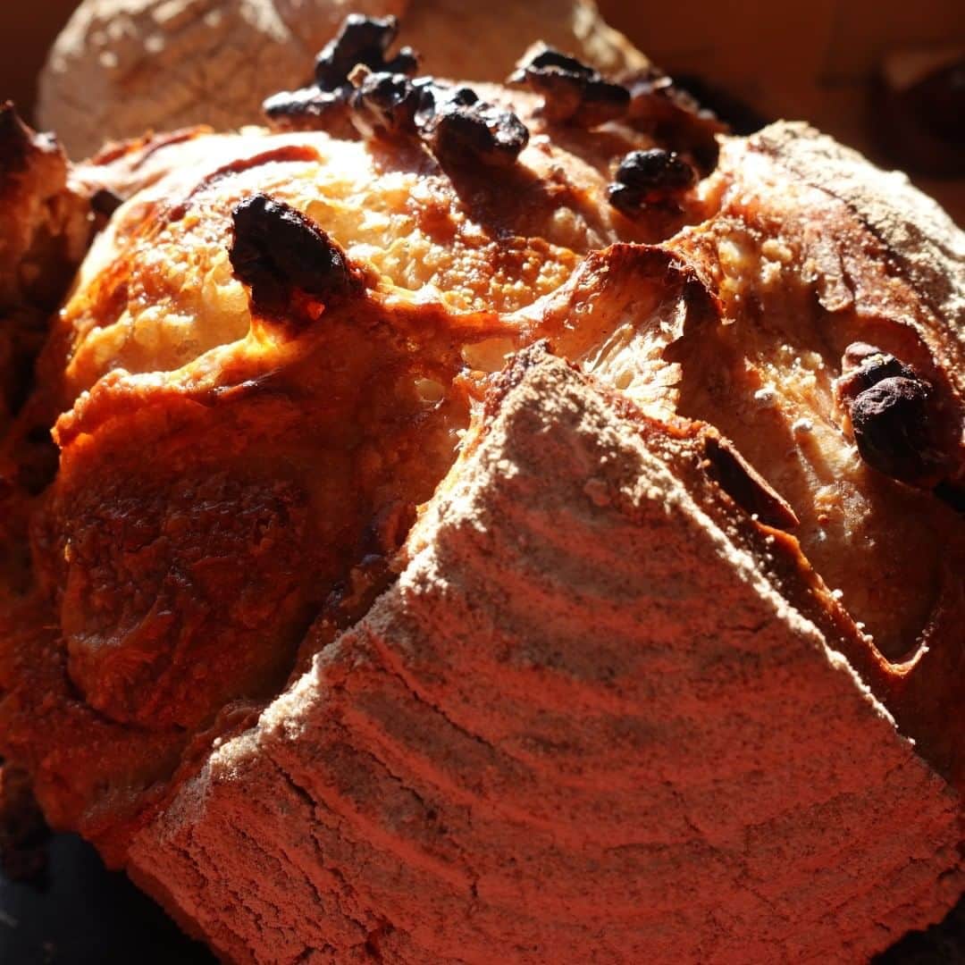 魔女菅原のグルメインスタ