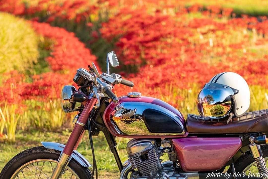 Honda 本田技研工業(株)さんのインスタグラム写真 - (Honda 本田技研工業(株)Instagram)「秋色に染まったバイクが素敵です♪ ボディには鮮やかな色が映ってきれいですね。 . 「秋に染まる」 Photo by @bin_factory . #MeandHonda #Honda #写真 #photo #ファインダー越しの私の世界 #バイク #cd125 . 本アカウントでは、「 #MeandHonda 」をつけてInstagramに投稿された皆さんのお出かけ写真やHonda製品を取り入れた写真を紹介しています。たくさんのご投稿をお待ちしています。」10月20日 11時00分 - hondajp