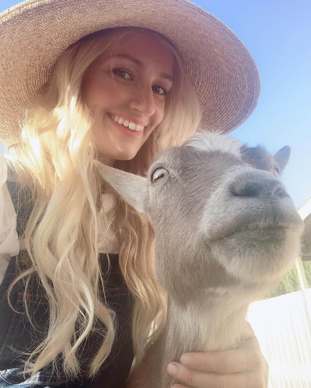 のインスタグラム：「Tick the goat goes great with my new @christydawn blouse and overalls. Tick would also approve of their incredible regenerative fashion practices- we love @christydawn over here!」