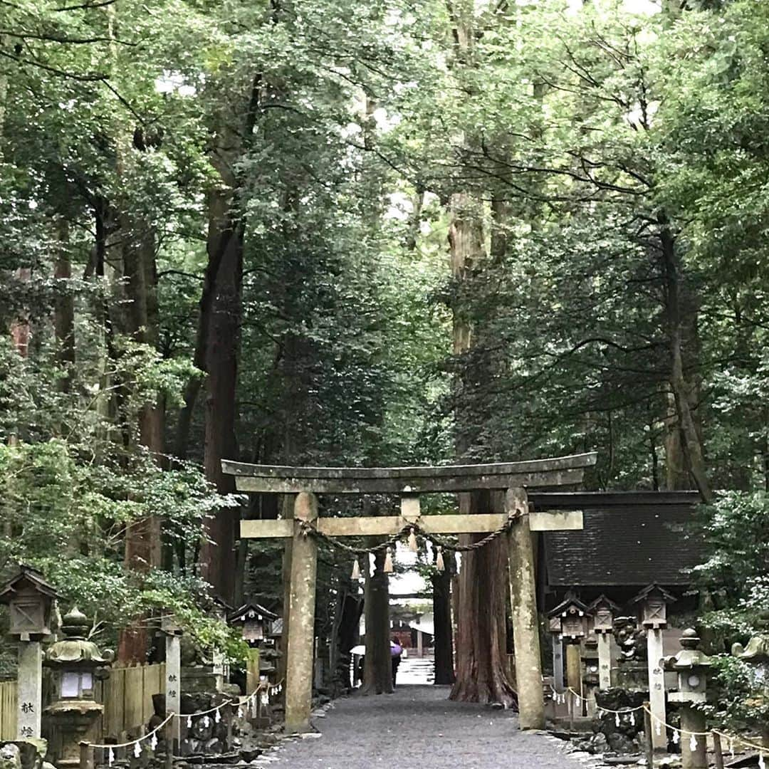 土屋眞弓さんのインスタグラム写真 - (土屋眞弓Instagram)「椿大神社へ  新幹線の楽しみは富士山🗻 いつもこの場所で撮影しちゃいます❣️ 例えばどんなに嫌なことがあっても、富士山見ると癒されます☺️  思うところあって三重県鈴鹿に鎮座する椿大神社に参拝しました🙏 私には縁が深くある神様が祀られており、名古屋から大好きな友人の車で雨の中ドライブ☔️ 椿大神社に到着する頃には小雨になり、参道に足を踏み入れると空気の変化に身が引き締まるのを感じながら玉砂利の心地良い音が響いていました  お酒を奉納し、大切な人たちの幸せをお祈りしてきました 御祈祷して頂いている間にもの凄い雨が降っていましたが、終了した時には雨もやみ、凛とした爽やかな気持ちで椿大神社をあとにしました😊  一番最後の写真は帰りの高速から見えた山の中腹にかかる雲が雲海の様に見え、一緒の撮影で撮った写真です 一緒に行った友人も運転しながら感動していましたので、みなさんにもお裾分け✨✨✨  良い一日のスタートです‼️ この後は大好きなひつまぶし❤️❤️❤️  #椿大神社 #萬幡豊秋津師比売命  #富士山 #猿田彦大神」10月20日 11時15分 - mayumi.vivian