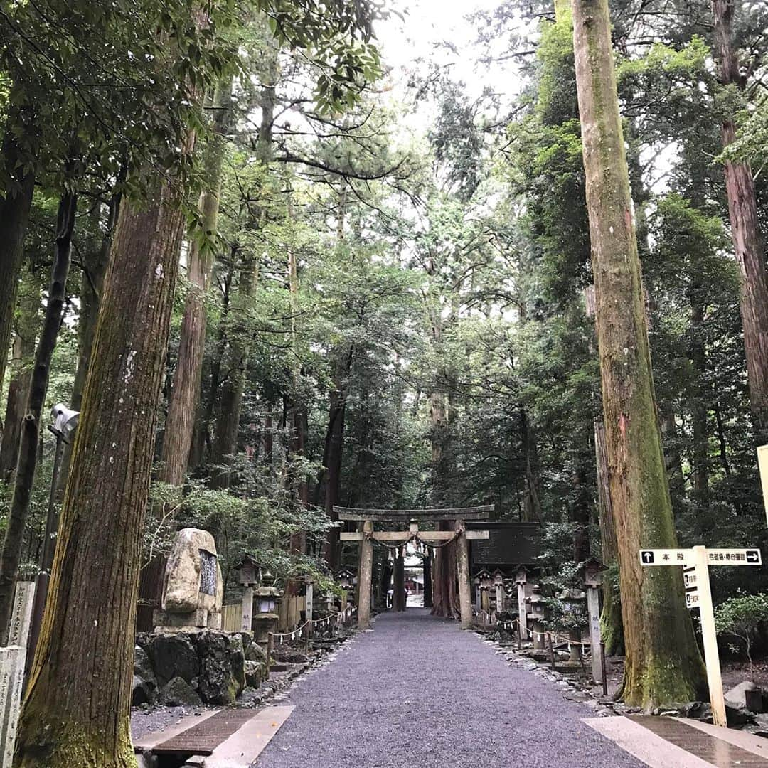 土屋眞弓さんのインスタグラム写真 - (土屋眞弓Instagram)「椿大神社へ  新幹線の楽しみは富士山🗻 いつもこの場所で撮影しちゃいます❣️ 例えばどんなに嫌なことがあっても、富士山見ると癒されます☺️  思うところあって三重県鈴鹿に鎮座する椿大神社に参拝しました🙏 私には縁が深くある神様が祀られており、名古屋から大好きな友人の車で雨の中ドライブ☔️ 椿大神社に到着する頃には小雨になり、参道に足を踏み入れると空気の変化に身が引き締まるのを感じながら玉砂利の心地良い音が響いていました  お酒を奉納し、大切な人たちの幸せをお祈りしてきました 御祈祷して頂いている間にもの凄い雨が降っていましたが、終了した時には雨もやみ、凛とした爽やかな気持ちで椿大神社をあとにしました😊  一番最後の写真は帰りの高速から見えた山の中腹にかかる雲が雲海の様に見え、一緒の撮影で撮った写真です 一緒に行った友人も運転しながら感動していましたので、みなさんにもお裾分け✨✨✨  良い一日のスタートです‼️ この後は大好きなひつまぶし❤️❤️❤️  #椿大神社 #萬幡豊秋津師比売命  #富士山 #猿田彦大神」10月20日 11時15分 - mayumi.vivian