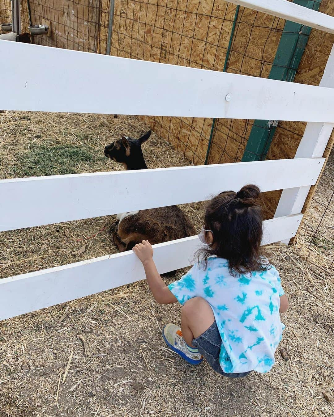 高木りなさんのインスタグラム写真 - (高木りなInstagram)「Pumpkin patch day🎃🎃🎃 . . . #pumpkinpatch #halloween #losangeles #california #パンプキンパッチ #ハロウィン #カリフォルニア #ロサンゼルス #펌킨패치 #할로윈 #캘리포니아 #로스앤젤레스」10月20日 11時21分 - rinasvoyage