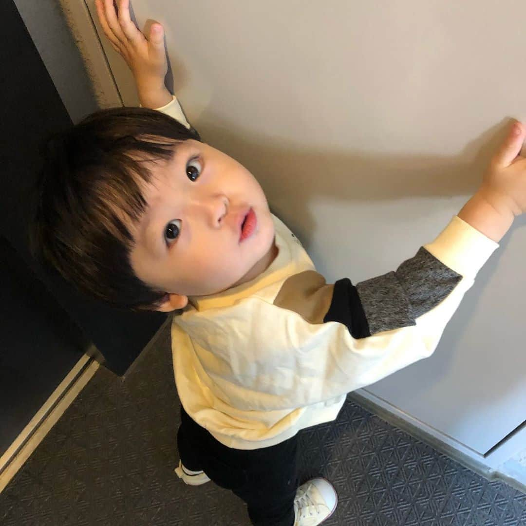 山﨑さおりさんのインスタグラム写真 - (山﨑さおりInstagram)「. 千ちゃん1歳4ヵ月、、、🥺🧡 色んなことが分かる様になってきて 意思疎通も凄い出来る様になって、、、涙 すごいね千ちゃん🥺 はーい🙋🏻‍♂️がとにかく可愛いくって ゆうしんと何度も 〇〇の人〜？？ってきいてごめんね😂 毎日可愛いくて愛おしさが増していくので いよいよ私、破裂するんちゃうかな。💣 . . #1歳4ヶ月 #千ちゃんの記録」10月20日 11時42分 - saori_emunjewelry