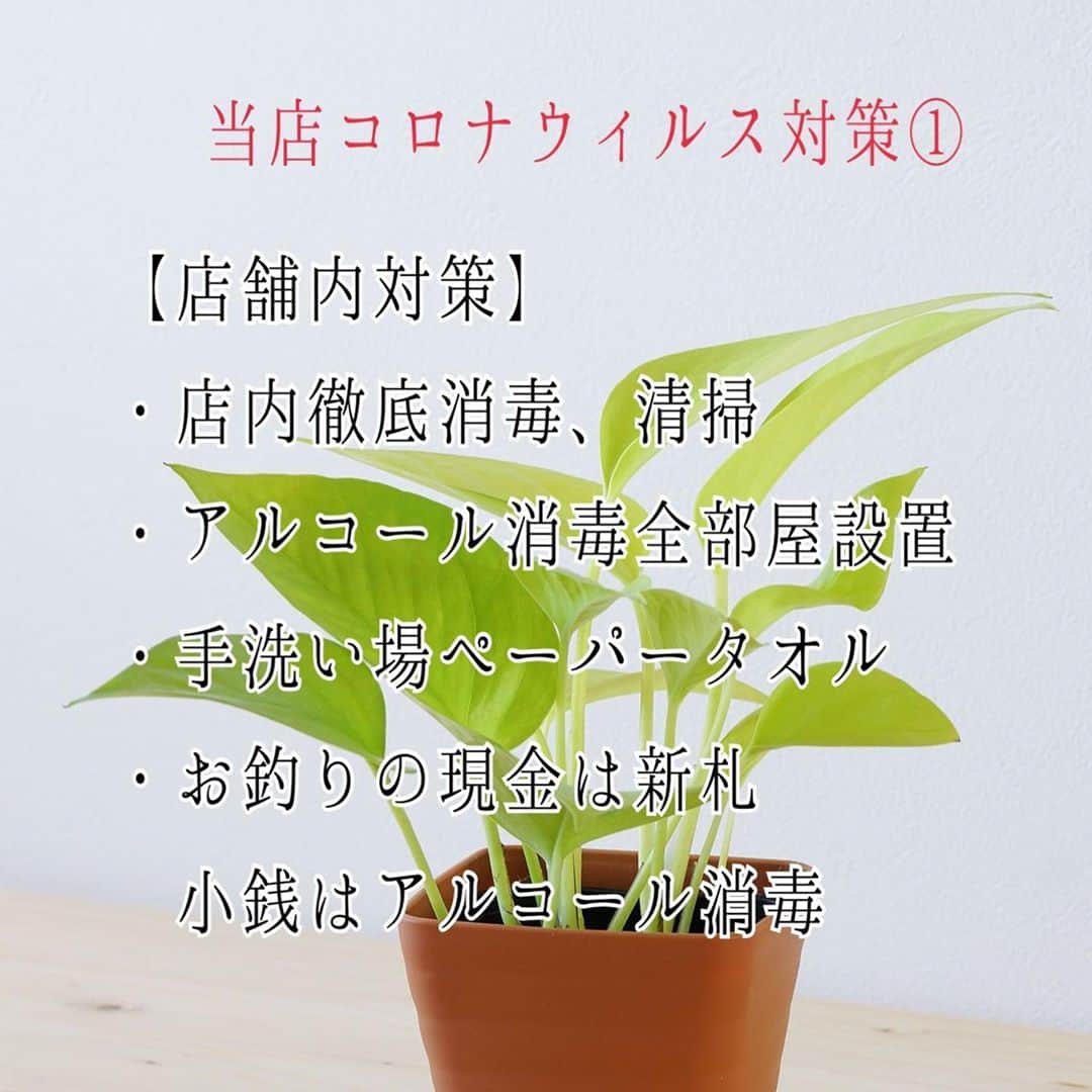 Relaxation & Spa Kokuaさんのインスタグラム写真 - (Relaxation & Spa KokuaInstagram)「当店コロナウィルス対策🙆‍♀️ . Kokuaでは新型コロナウィルス対策を徹底しています！ . ご来店いただいたお客様に 安心・安全に施術を受けていただくことこそがリラクゼーションサービスと考えております😌 . お客様とセラピストの安心と安全を第一に考えての予防対策となりますのでご理解ご協力をお願い致します🙏 . #kokua #コクア #マッサージ #癒し #メンズエステ #メンエス #メンズマッサージ #メンエス好きな人と繋がりたい #メンズエステセラピスト #セラピスト#セラピストと繋がりたい #セラピスト募集 #肩こり #肩こり解消 #肩こり改善 #恵比寿 #渋谷　#恵比寿ガーデンプレイス #恵比寿東口 #東京#コロナウィルス対策 #コロナウィルス対策サロン #コロナに負けるな」10月20日 11時51分 - kokua_insta