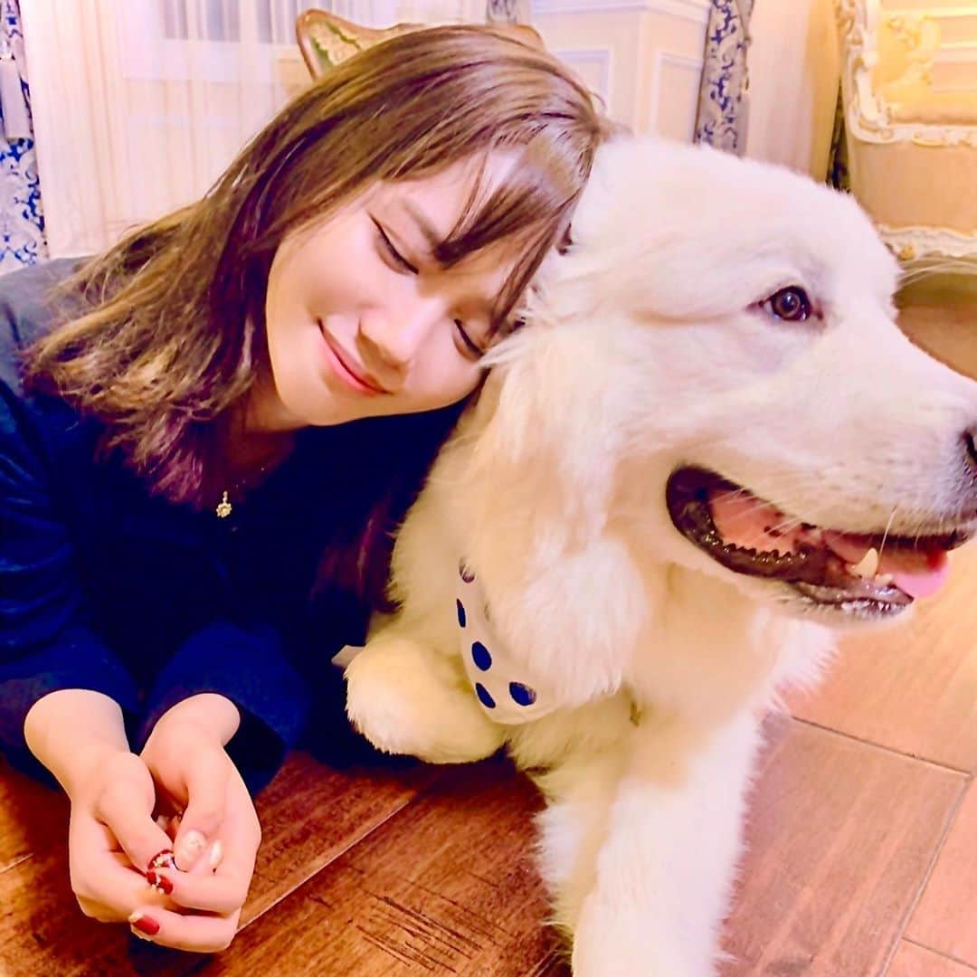 原望奈美さんのインスタグラム写真 - (原望奈美Instagram)「原田　乃叶美です😊 ⁣ ⁣昨日放送された「 #いつありのブラ街 」どーだったかな？？ ⁣ ⁣今までにも沢山の方と出会って 自分の体験を聞くことも多々ありました。  ⁣その中で、今回この番組で ジュネル株式会社取締役 伊與田美貴社長にお会いすることができて、  番組内ではお話してはいないですが かなり共通するものが沢山あり、 だからこそ、伊與田さんの発する言葉ひとつひとつがうなずけました✨ ⁣ ⁣また是非お会いして、 番組内では話せてなかったこと もっとお話を聞きたいなって思いましたね✨ ⁣ ⁣伊與田様のご自宅の愛犬ちゃんにも また、会いたい！！  ⁣ ⁣少し弱っていたときに こういう形で伊與田さんにお会いできたこと、すっごく感謝しています！  とにかく私はダイヤのチップを手に入れなければ！笑 ブルブル🥶  感想くれた方も見てくださった方も ありがとうございました！ ⁣ ⁣ ⁣次週もお楽しみに💗 ⁣ ⁣ ⁣ ⁣#関西テレビ #関西 #サンテレビ放送 #セレブの街 #セレブラ #いつあり #ジュネル #ジュネル株式会社 #伊與田美貴社長 #ネイルアーティスト #原田乃叶美 #犬すたぐらむ  ⁣ ⁣ ⁣ ⁣ ⁣」10月20日 11時51分 - vo_nozomi