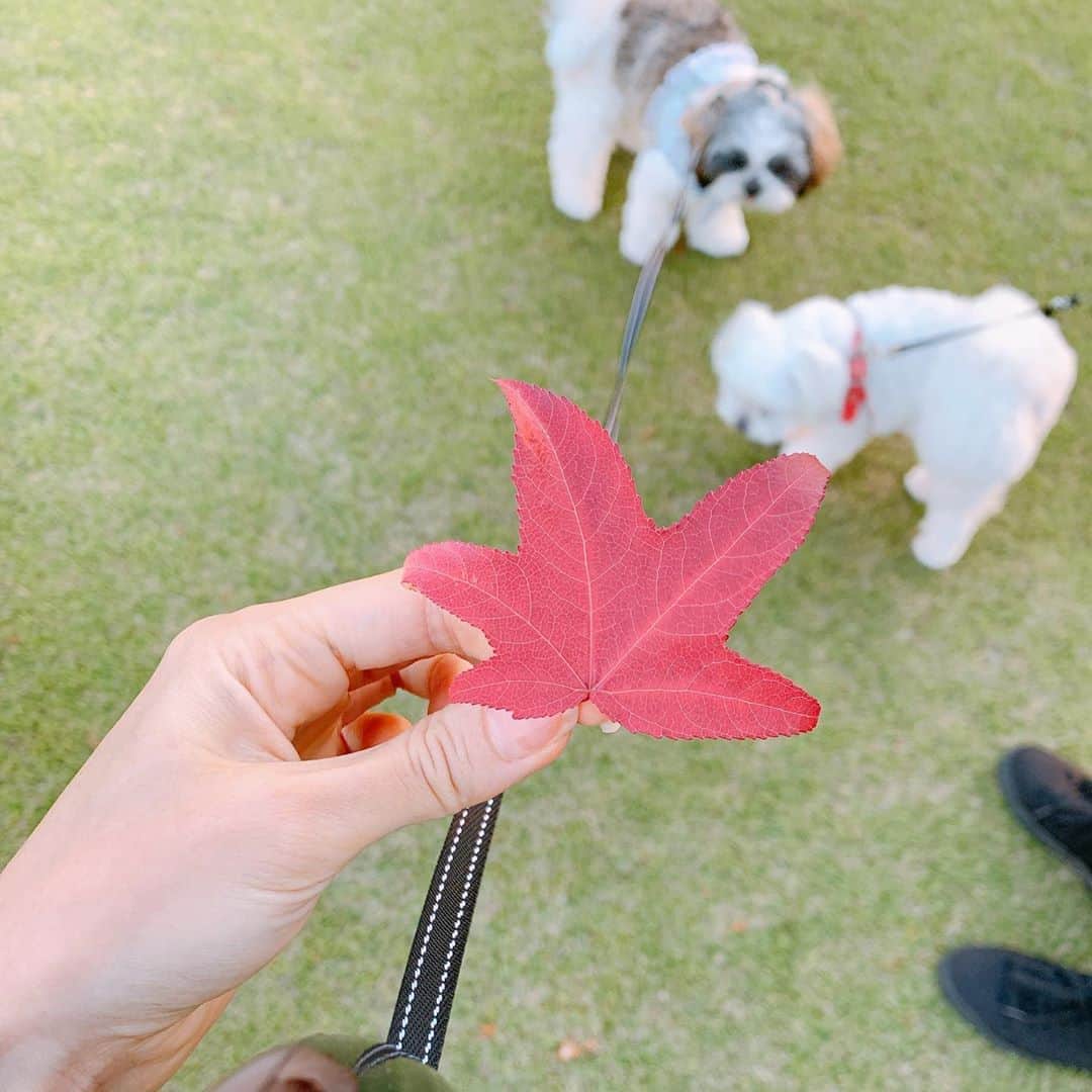 みき みーやんのインスタグラム