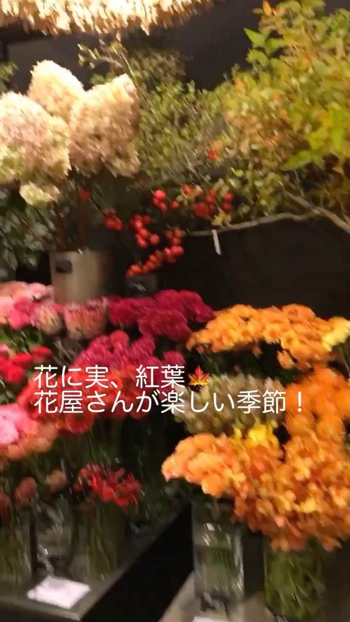 のインスタグラム：「初リールです。 東京・方南町の花店ベア@bearflower_scape へ行ってきました。 艶やかな秋の花がたくさん！ 近々、旬の花、ダイヤモンドリリーも入荷するそう。 花器のラインナップも充実しています。 最後に登場するのが、オーナーの熊坂英明さん。 格好いい花合わせを提案してくれます(^^♪  #flowers #flowerslovers #flowerstagram #flowerarrangement  #花時間 #花時間2020 #花好き #花藝 #花好きな人と繋がりたい #花が好きな人と繋がりたい #花のある生活 #花のある暮らし #花を飾る #花を飾る生活  #花屋さんが好き #秋の花 #バラが大好き  #素敵な花屋さん #ビタミンｆ #花屋さんへ行こう」