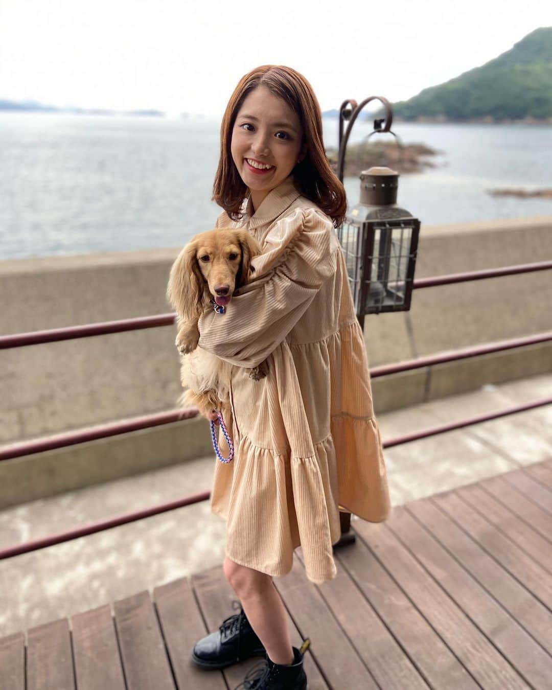 安藤令奈さんのインスタグラム写真 - (安藤令奈Instagram)「愛犬です🐶❤️ . . .  #旅行#広島#鞆の浦#広島旅行#旅館#彼女感 #彼女とデートなうに使っていいよ #instafood #instagood #japan #犬#愛犬#いぬすたぐらむ」10月20日 12時34分 - mizucon2020_no4