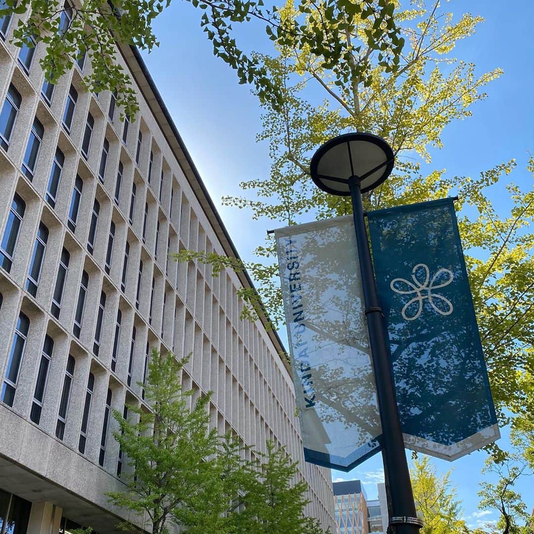のインスタグラム：「Beautiful #octoberweather at #kindaiuniversity .  #ginkotree #leaves🍁 are about to change their color. They will be all yellow in a short time.   #近畿大学  #秋空  #晴天  #いちょう  もうすぐ#紅葉  #東大阪キャンパス の #いちょう並木 お楽しみに」